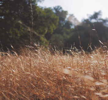 芒特禁区内潇洒接球转身破门，曼联2-1埃弗顿，曼联2:1埃弗顿