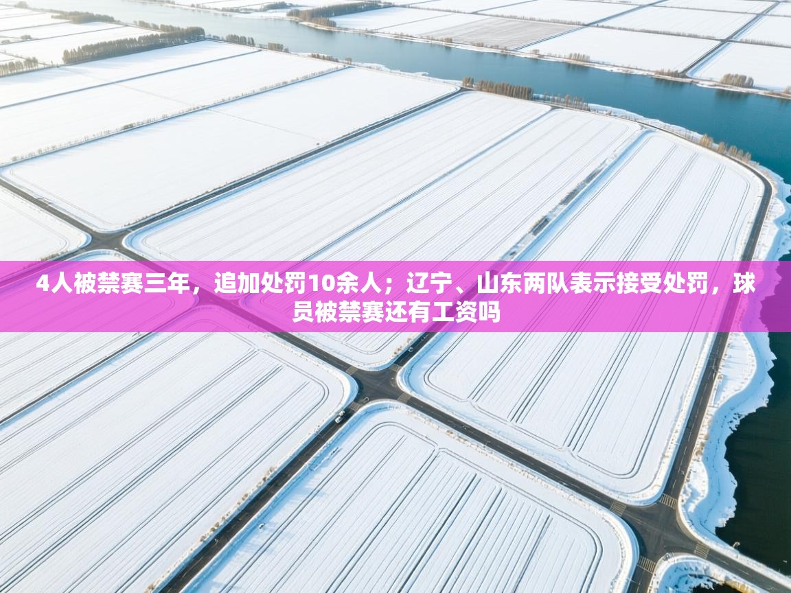 4人被禁赛三年,追加处罚10余人;辽宁、山东两队表示接受处罚,球员被禁赛还有工资吗