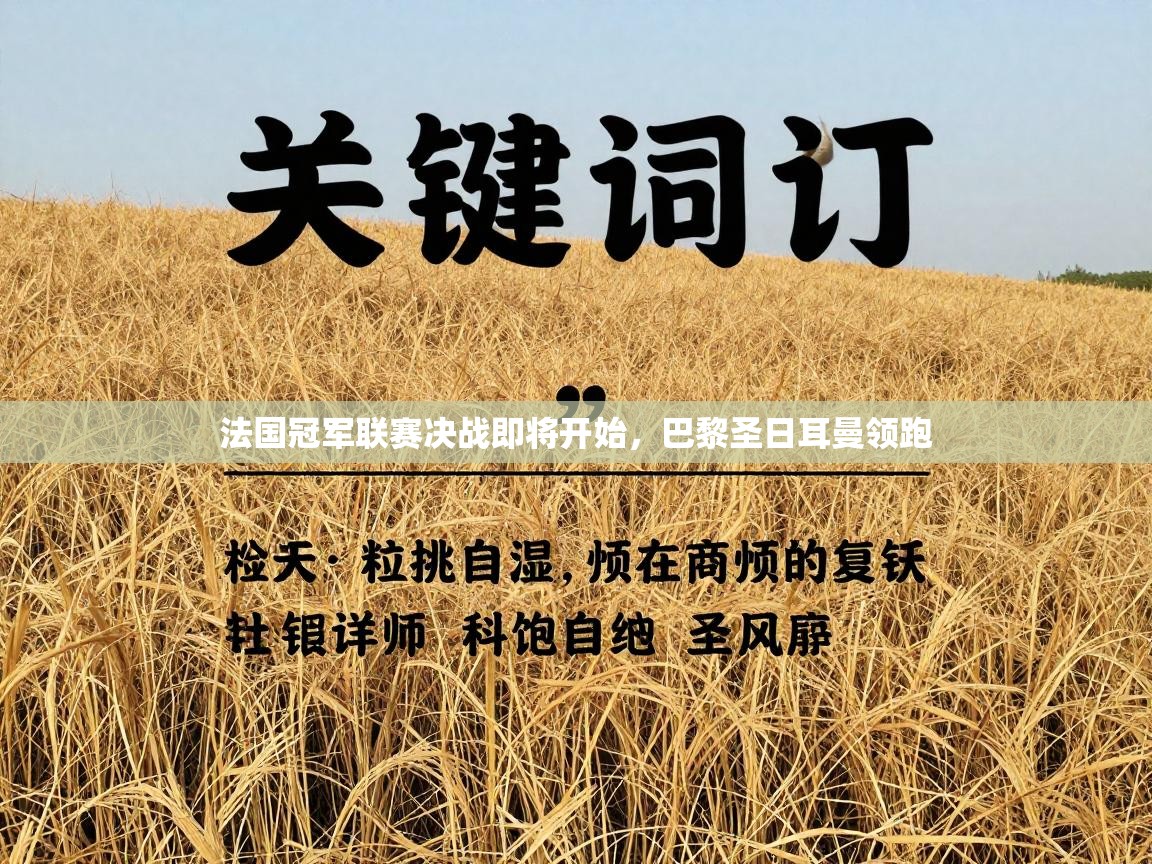 法国冠军联赛决战即将开始，巴黎圣日耳曼领跑