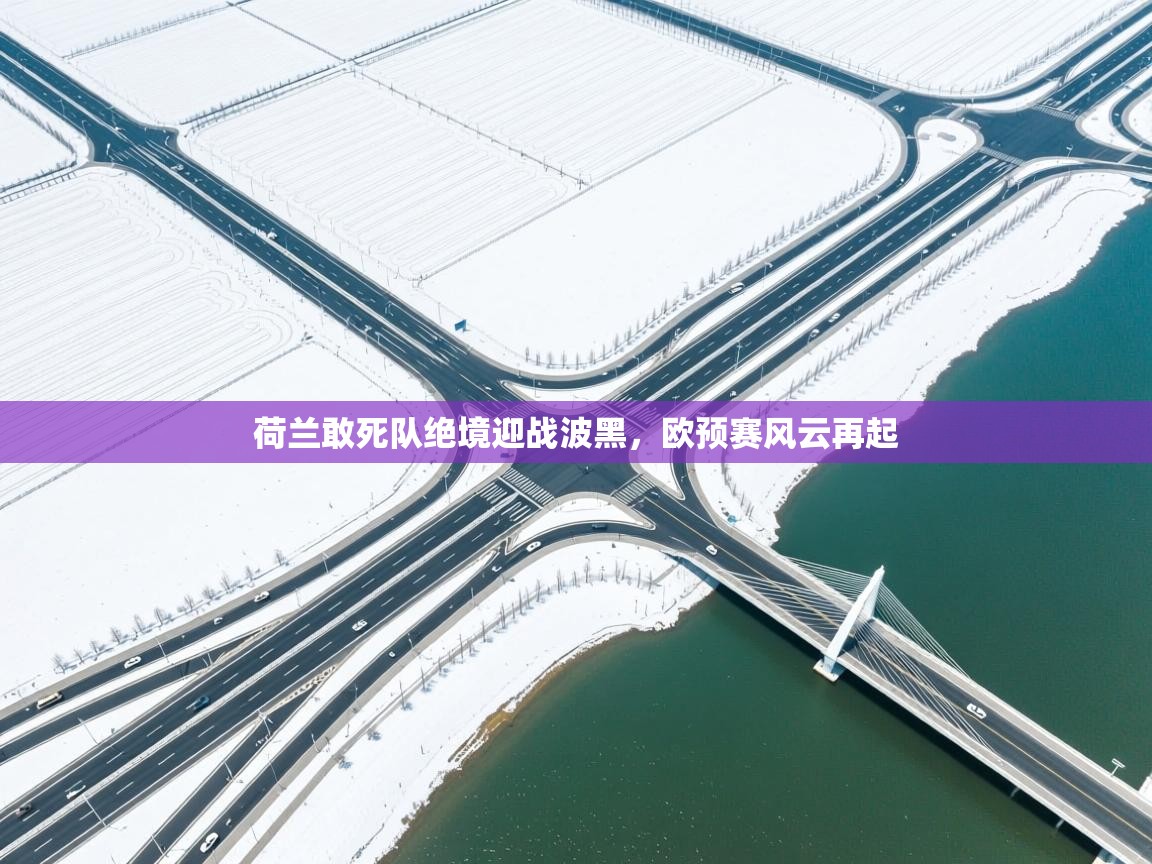 荷兰敢死队绝境迎战波黑,欧预赛风云再起 第2张