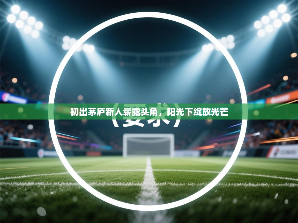 初出茅庐新人崭露头角，阳光下绽放光芒  第2张