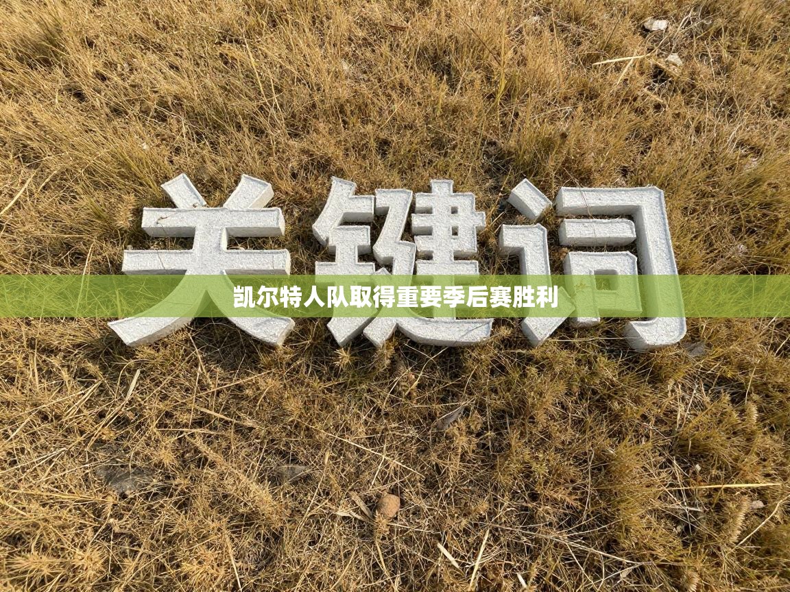 凯尔特人队取得重要季后赛胜利  第1张